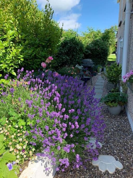 Entire 2 Bed Cottage - Llangwm Llangwm  Exterior foto